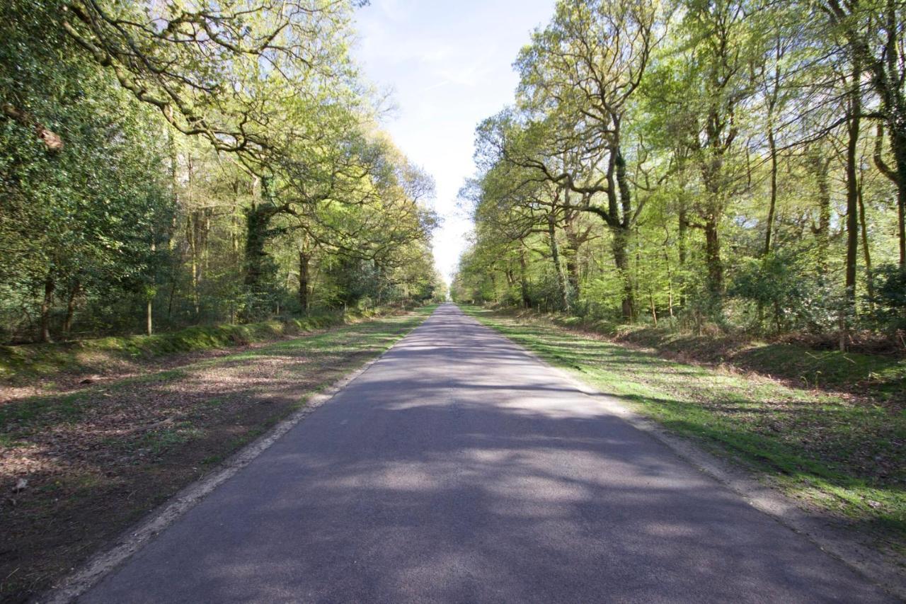 Avondale New Forest Godshill  エクステリア 写真
