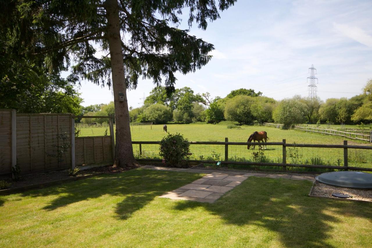 Avondale New Forest Godshill  エクステリア 写真